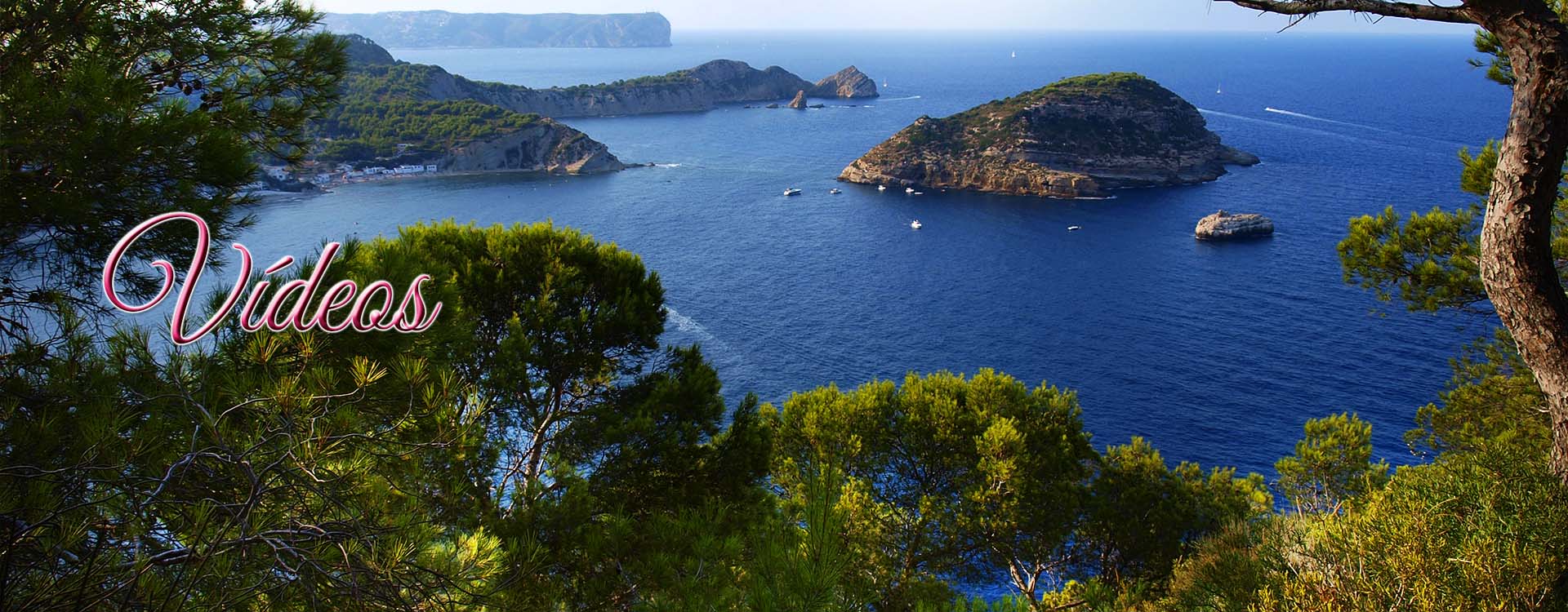 Coleccioones de Fotograf�as